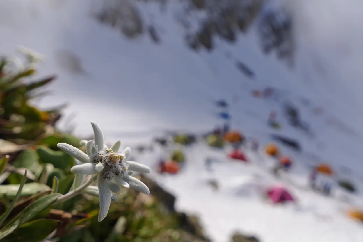 Fragile Mount Everest Peak Nature